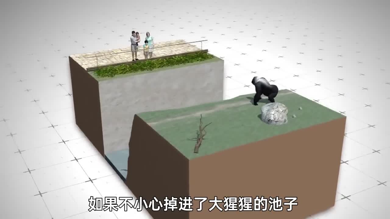 如果不小心掉进大猩猩池子中可以安全逃出吗