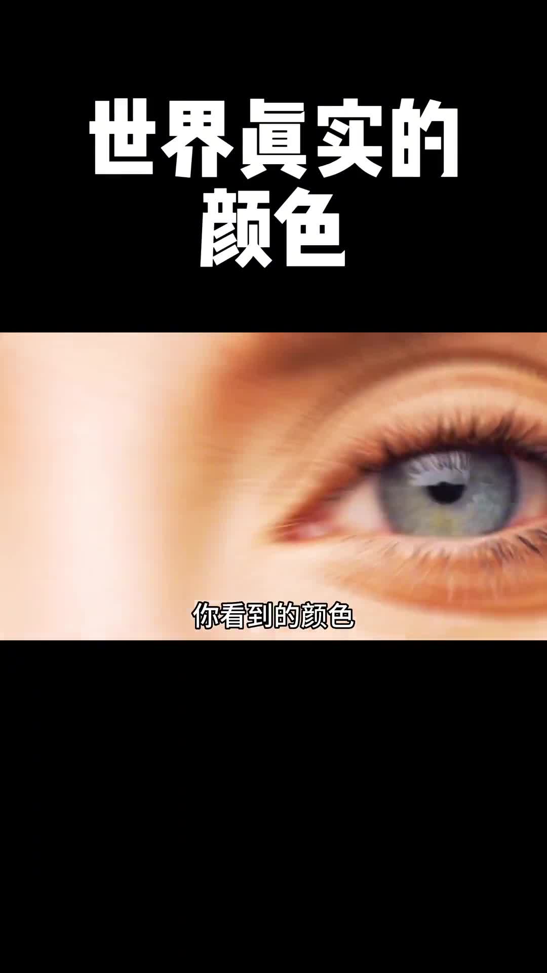 那么究竟谁看到色彩才是这个世界真实的颜色呢
