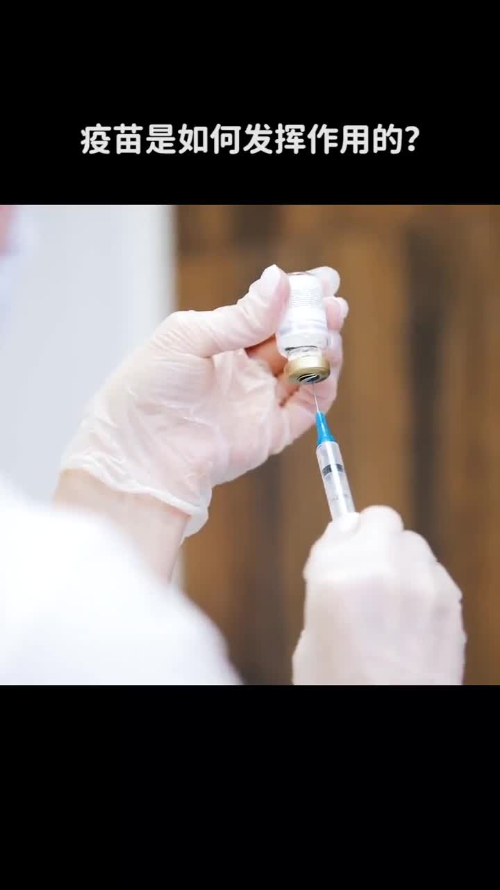为什么疫苗能预防病d它是如何发挥作用的