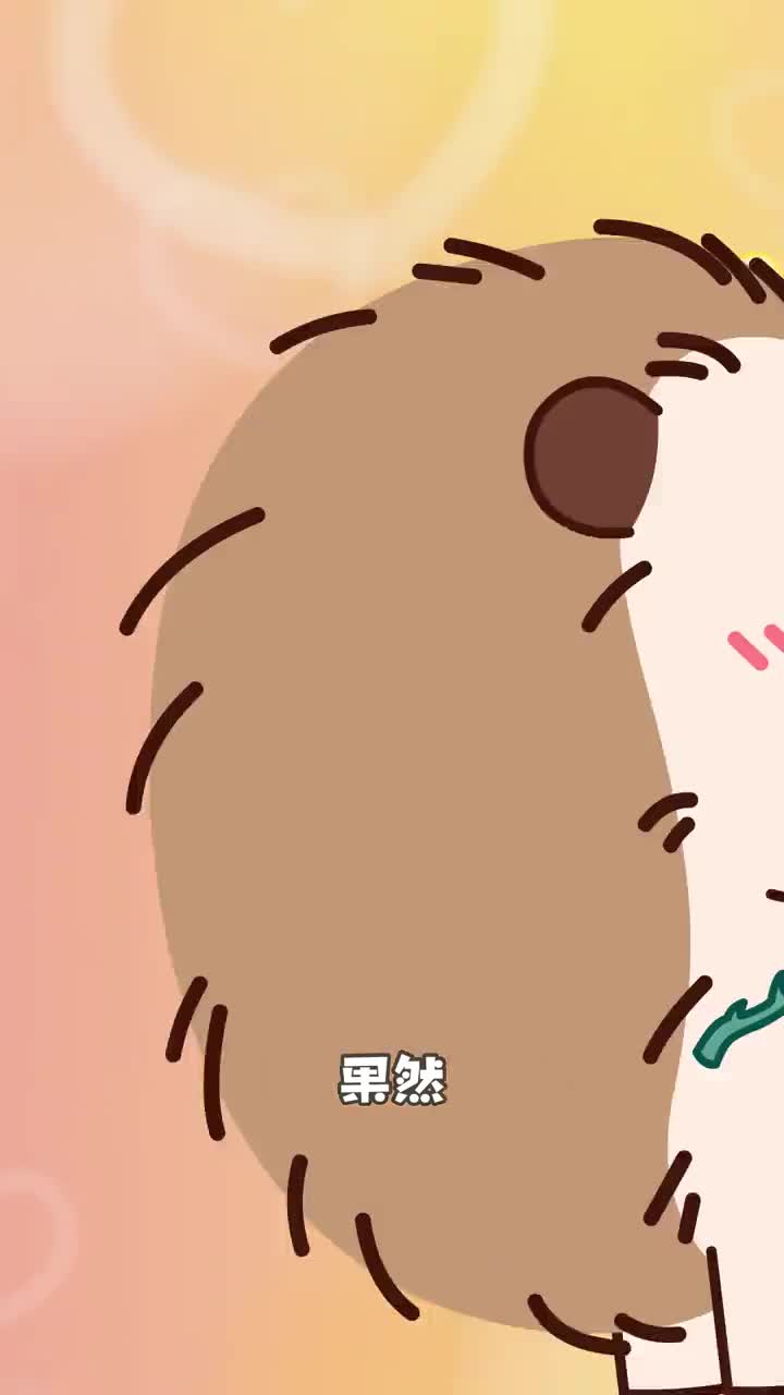 刺猬虽然可爱但是养的人不多知道为什么吗