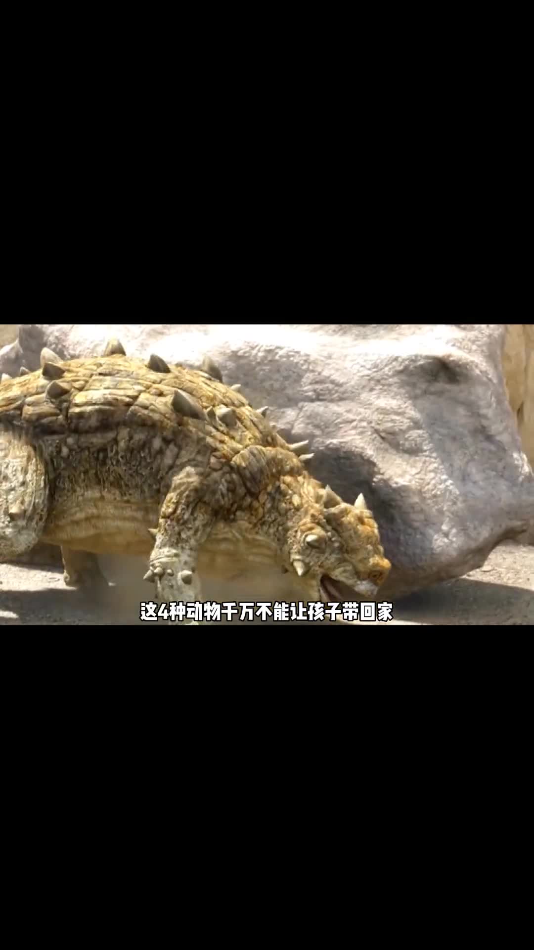 这几种动物千万别让孩子带回家了后果很严重