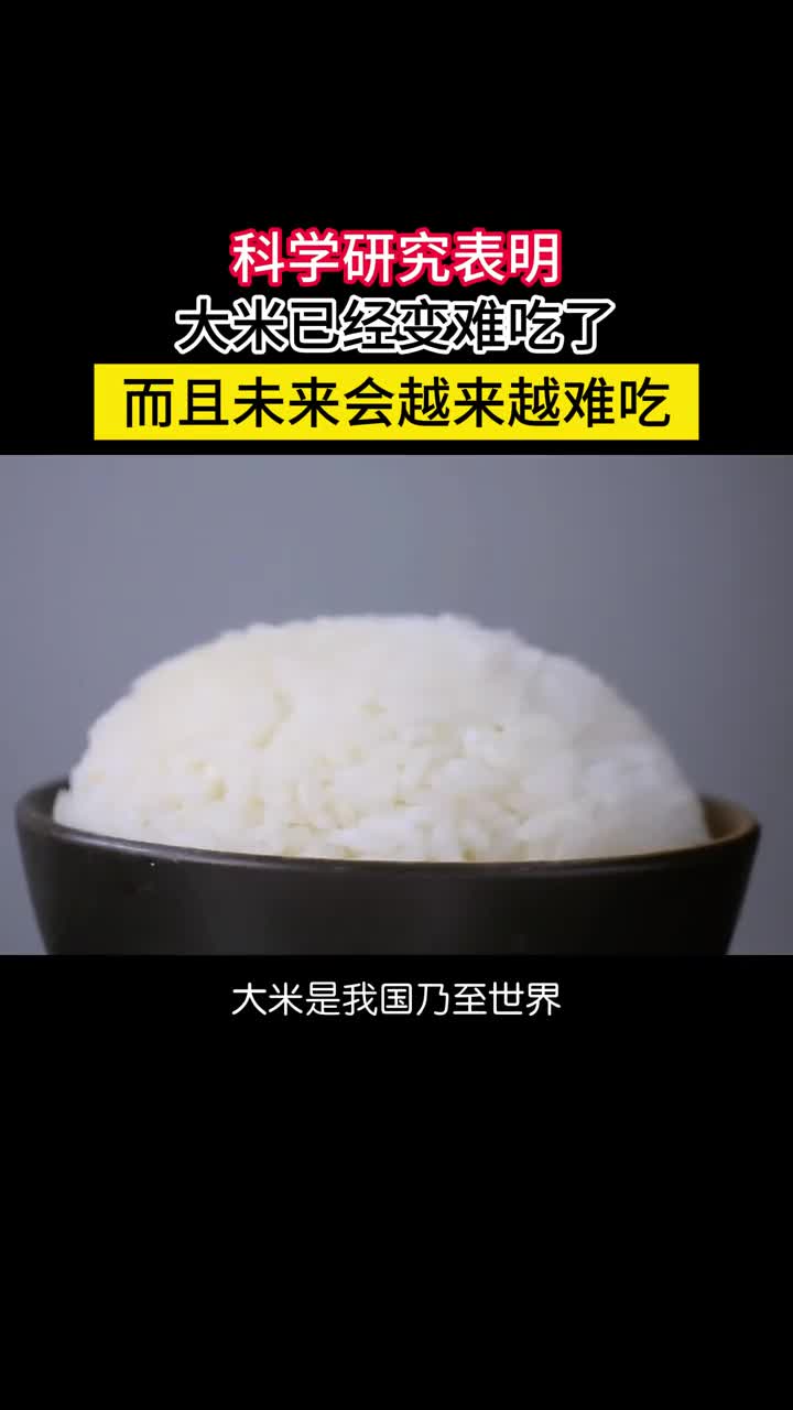 我国科学家发现大米的品质在持续下降且未来会越来越难吃夜间温度越高大米的品质就越差高温会影响水稻的光合作用和淀粉积累过程在我国当夜间温度超过18度时大米的品质就会显著下降日本的阈值更低只有12度更麻烦的是全球气温还在上升而且夜间温度的升高可能是白天的3倍未来的米饭恐怕会越来越难吃