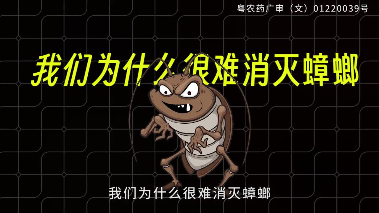 我们为什么很难消灭蟑螂