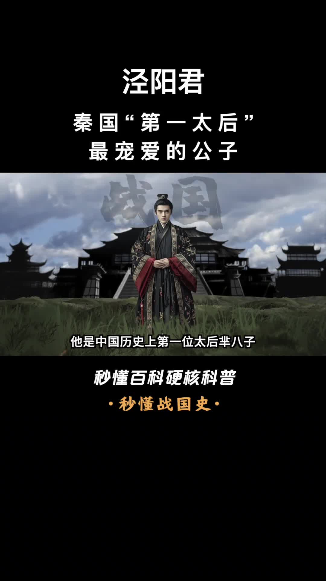 一口气看完泾阳君秦国第一太后最宠爱的公子