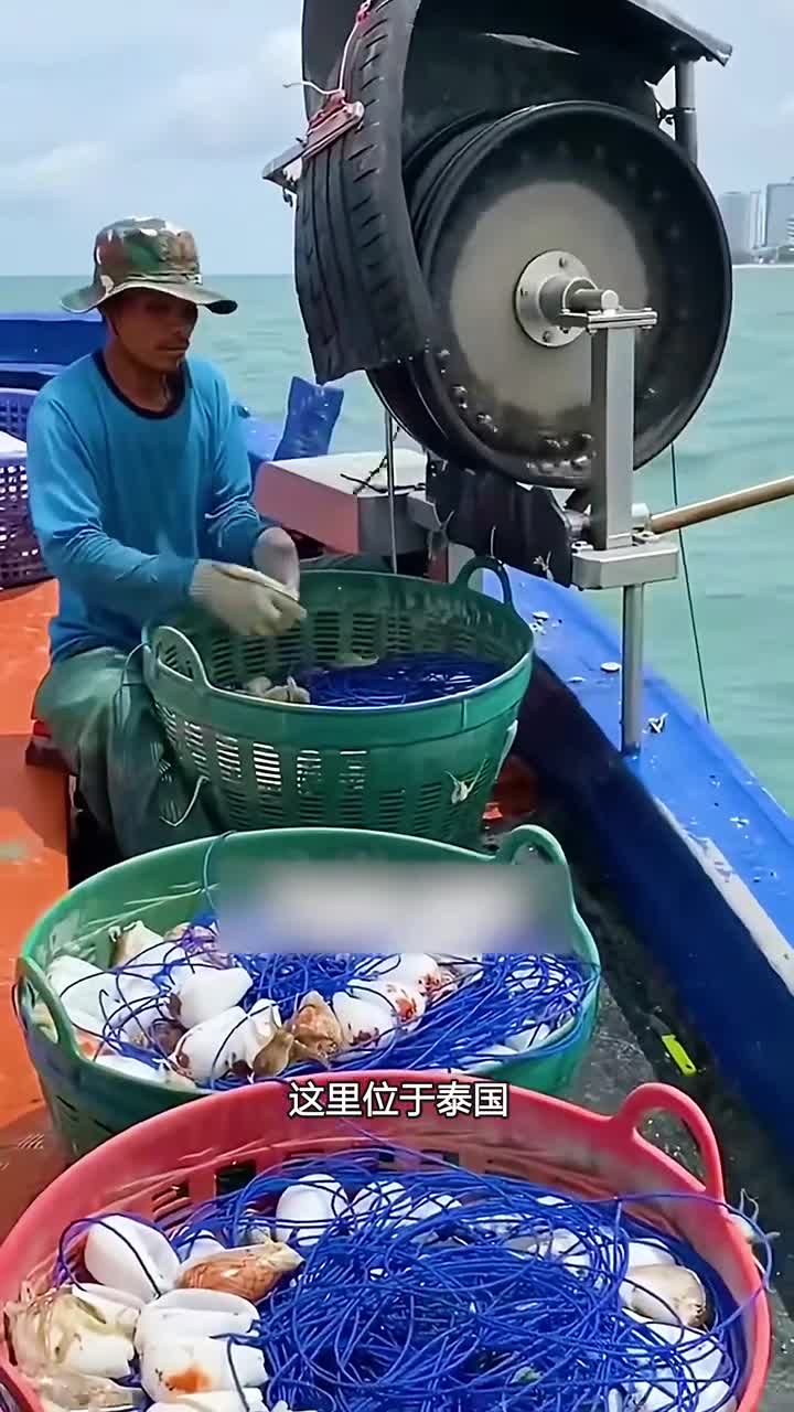 泰国人独特的抓章鱼方法