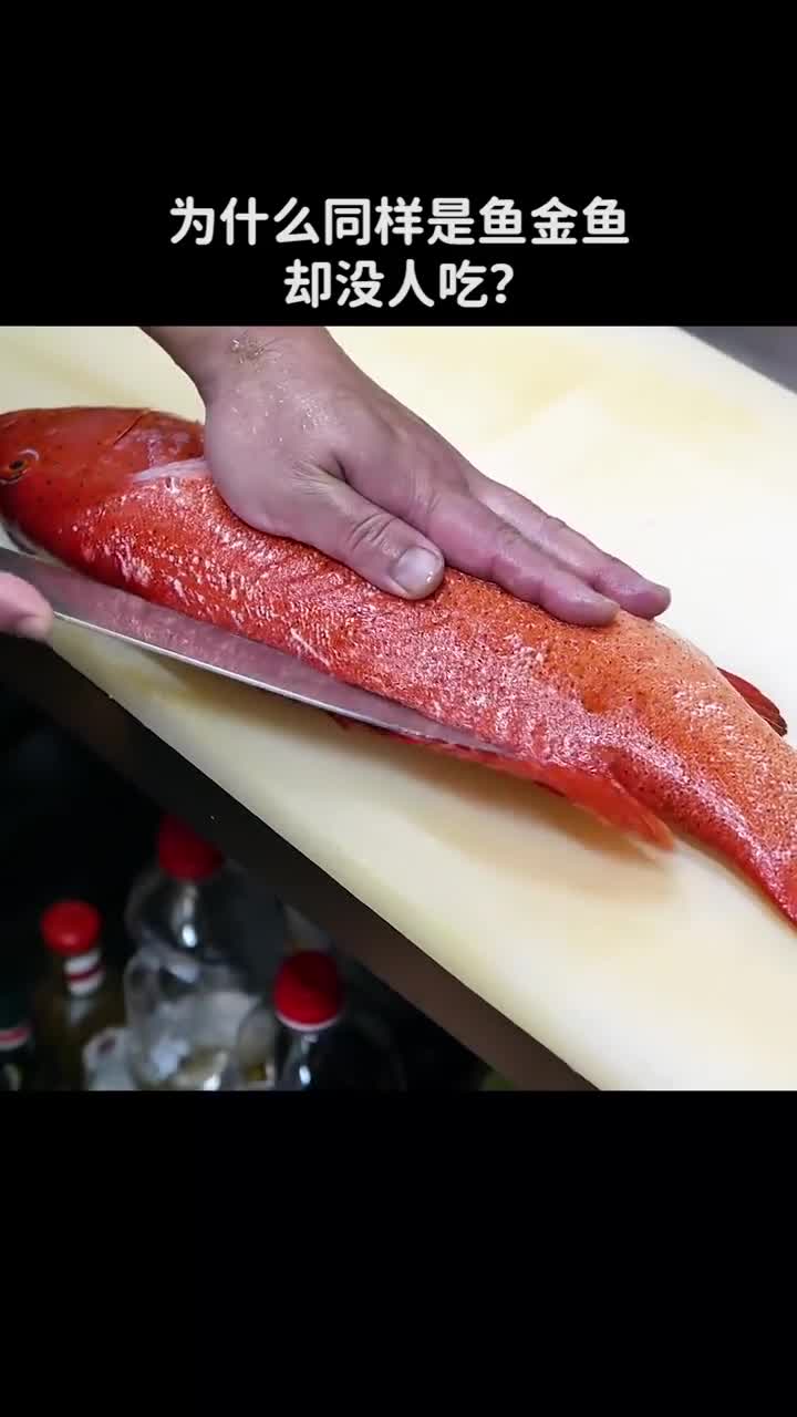 为什么同样是鱼金鱼却没人吃
