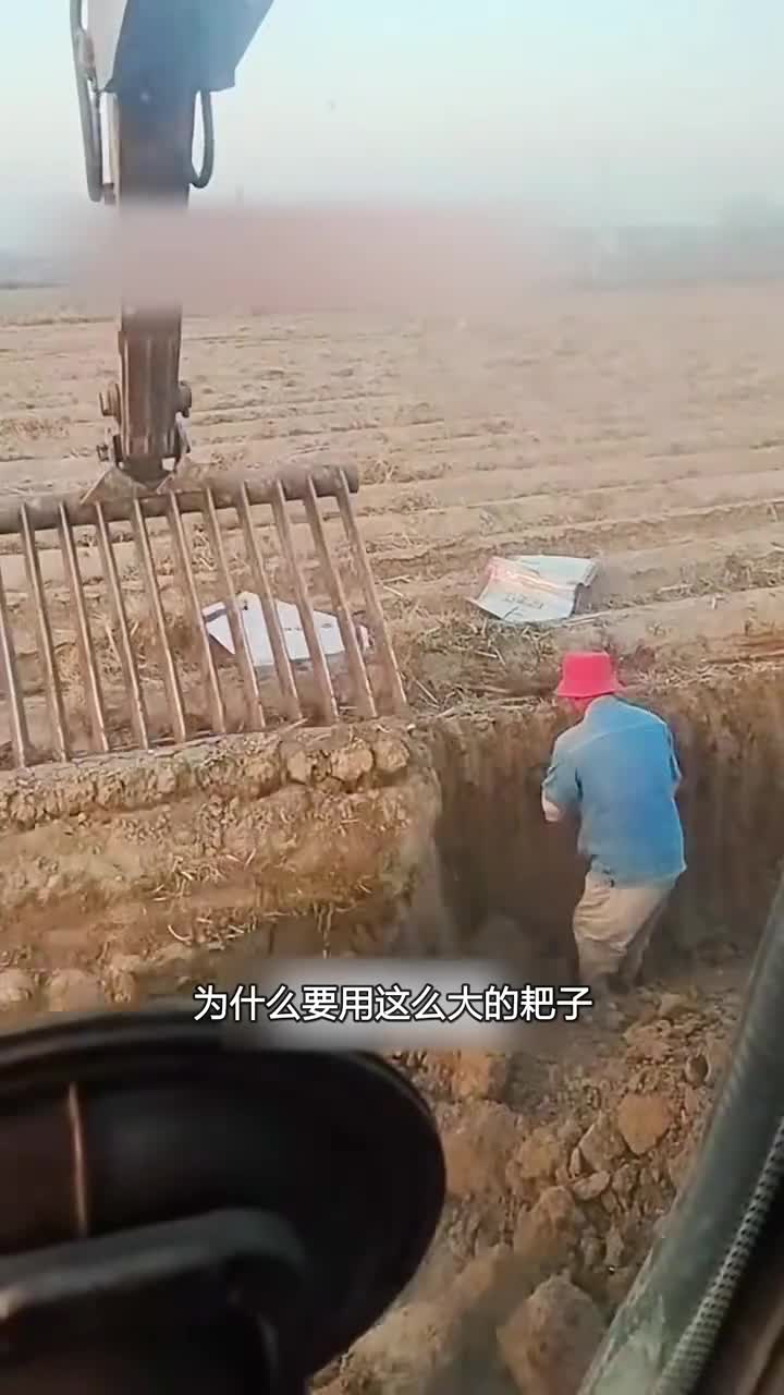 山药的挖取过程及种植