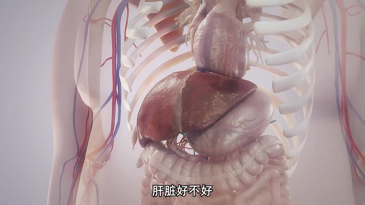 这个器官有问题竟然会让人变丑