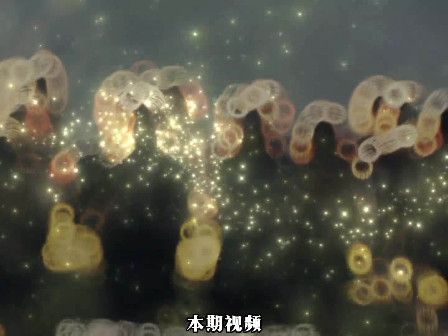 一口气看完夏朝到民国4000年历史