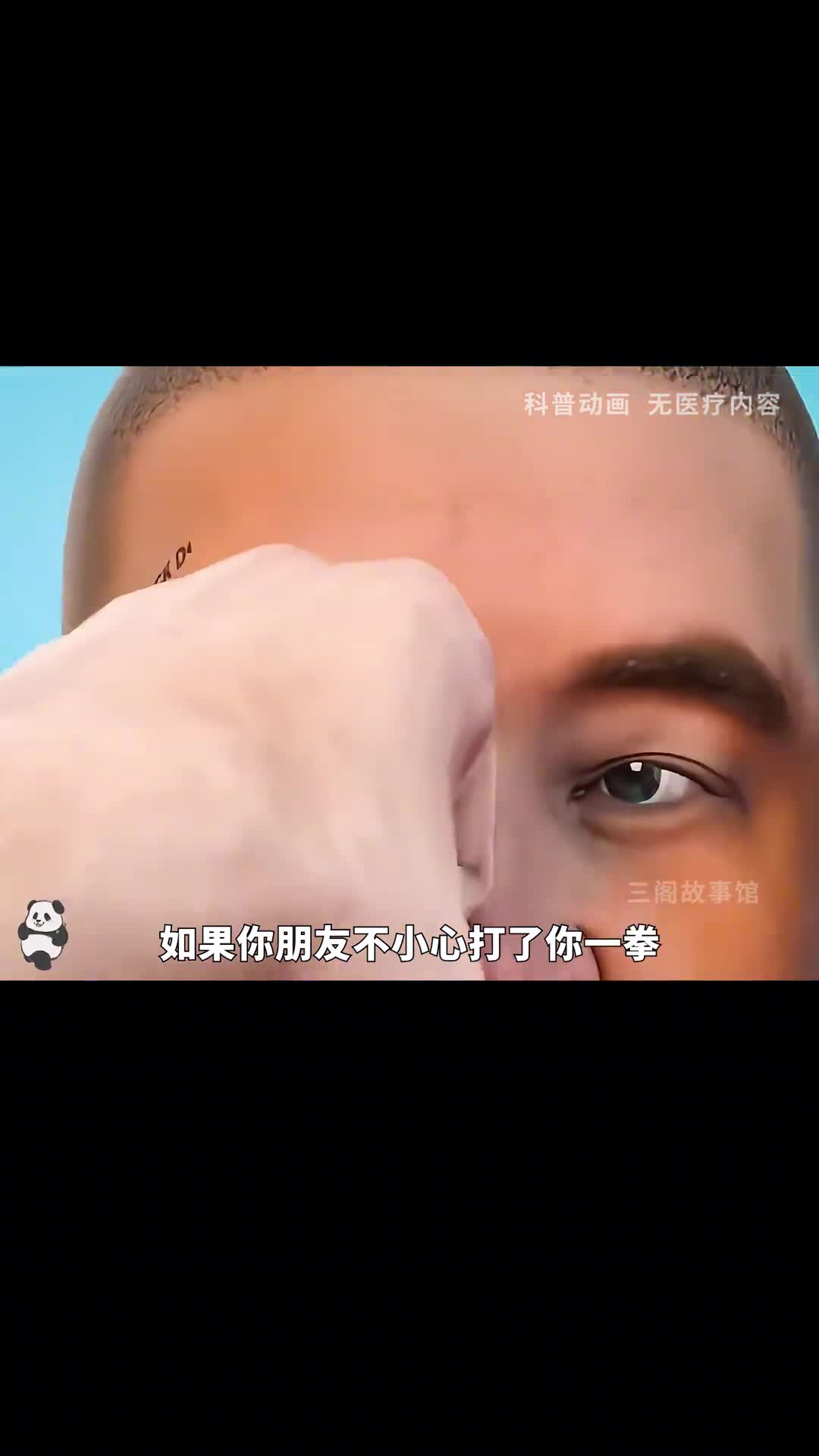 眼睛被打后为什么会成熊猫眼