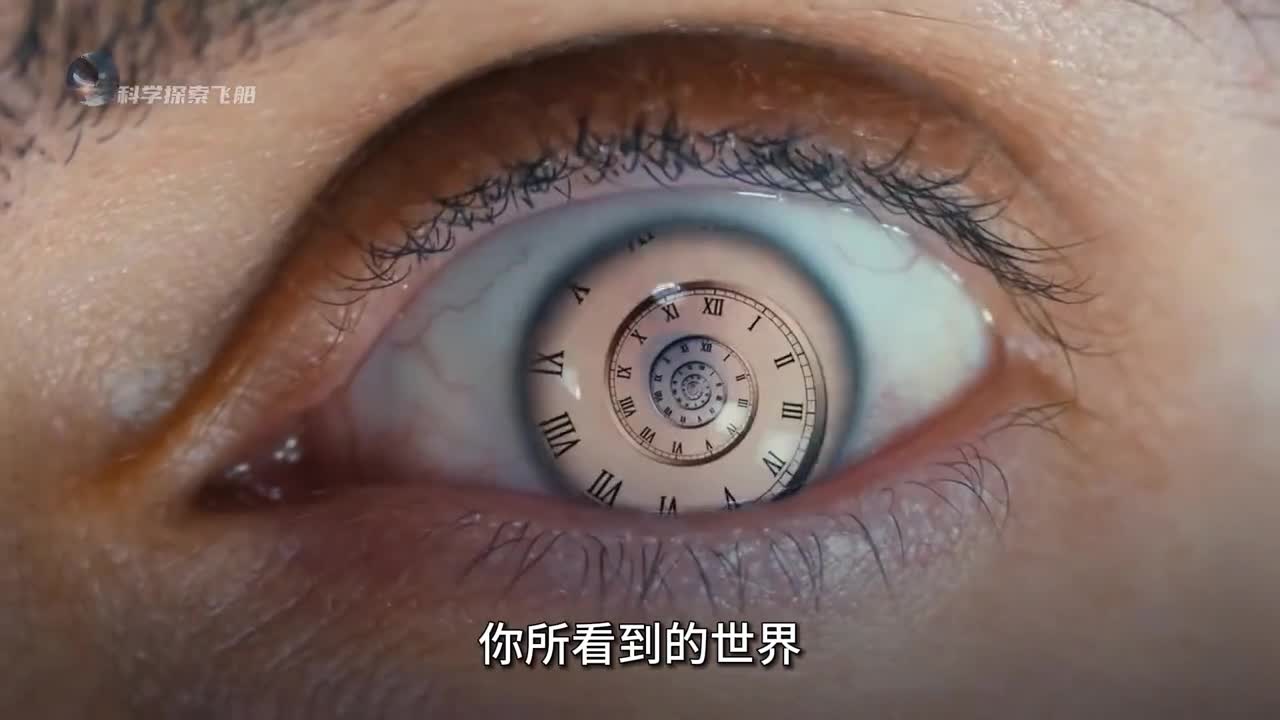 色盲悖论到底有多诡异你看到的世界真的和别人看到的一样吗