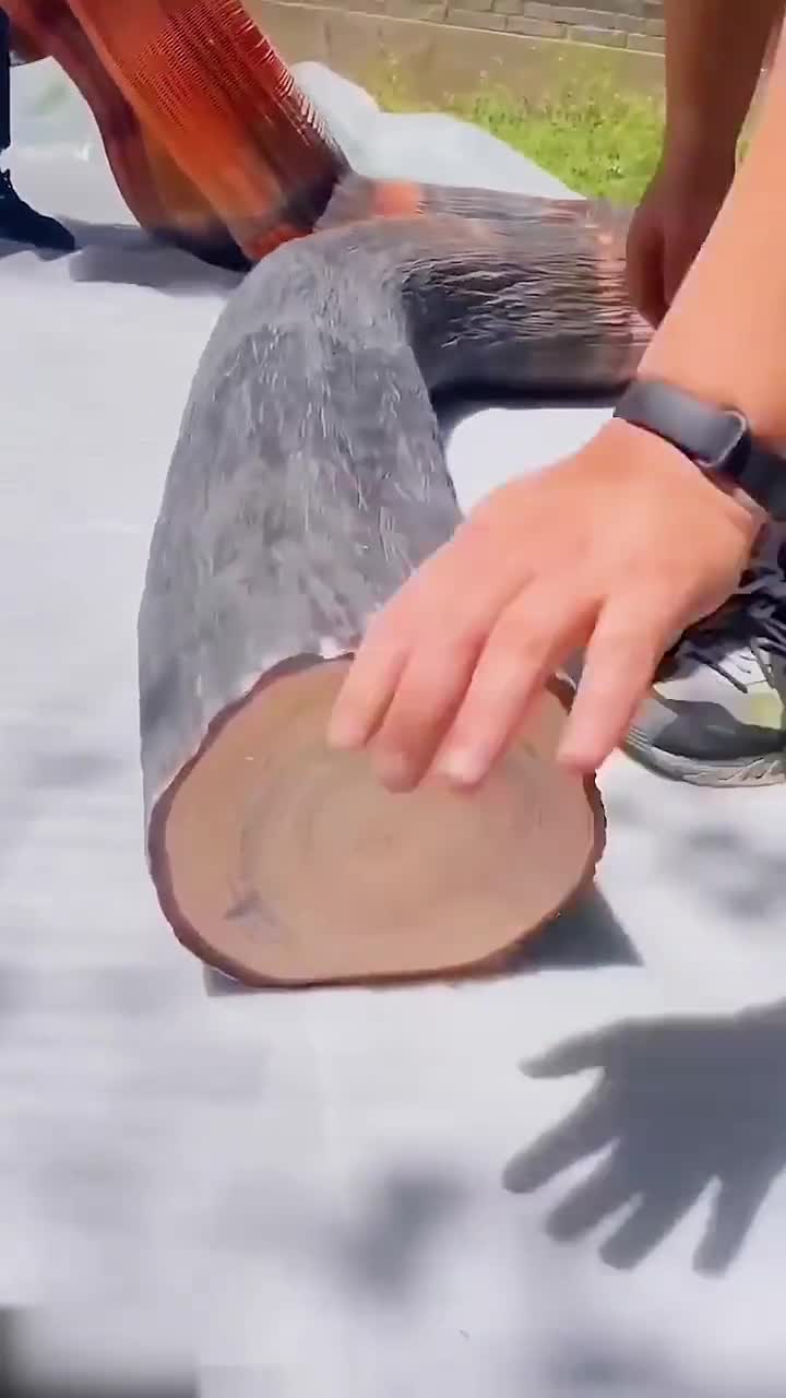 令人惊叹的三维纸雕艺术