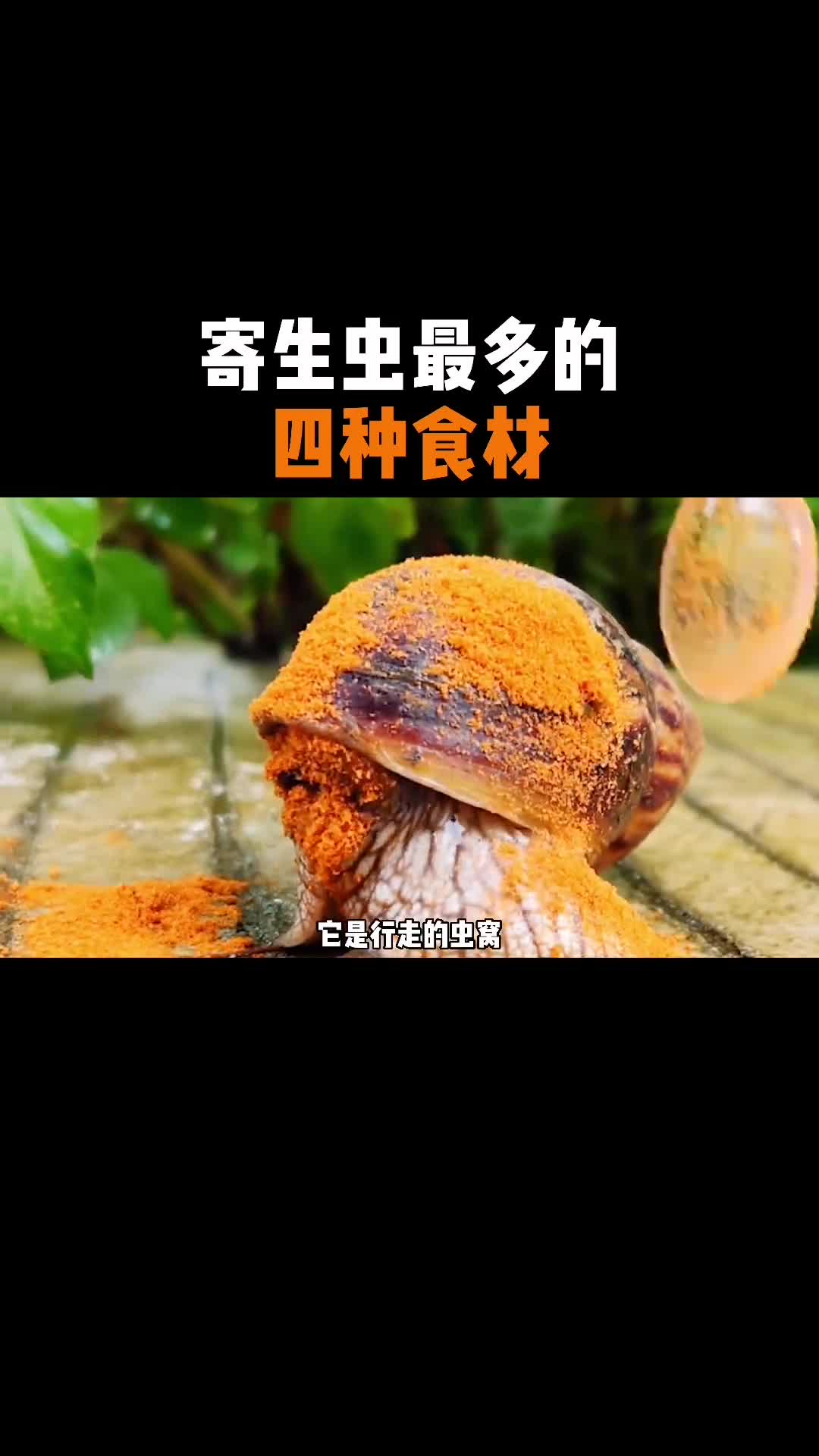 寄生虫最多的四种食物你都吃过嘛