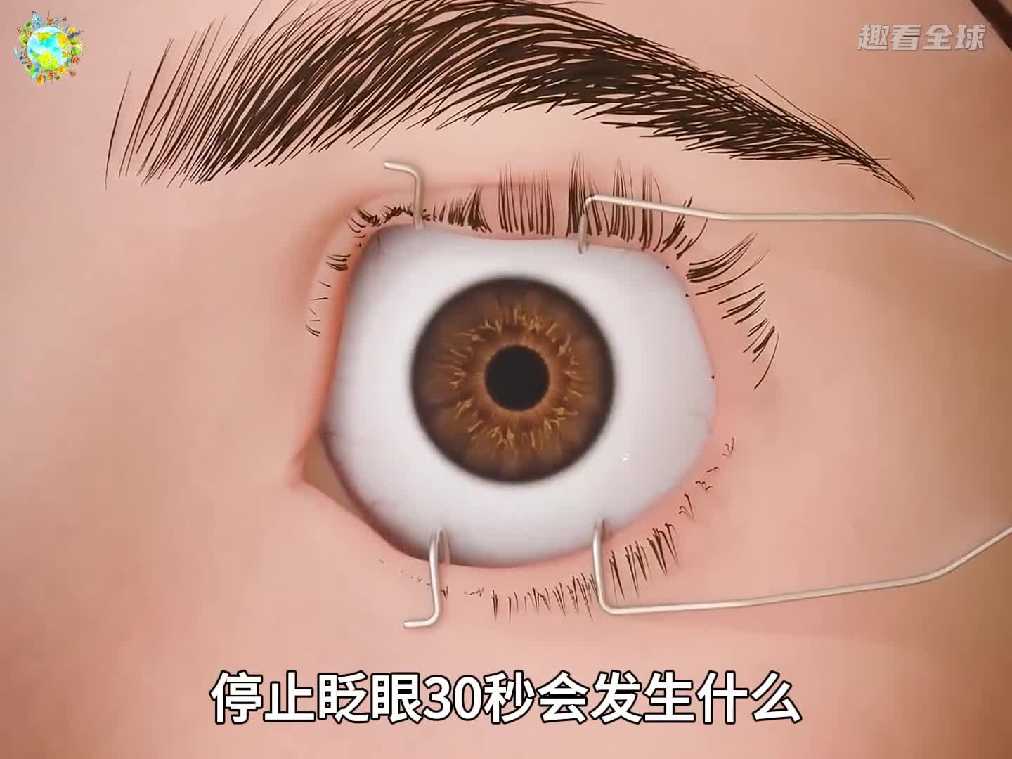当你停止眨眼会发生什么