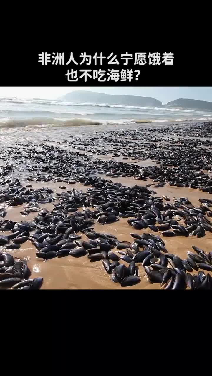非洲人为什么宁愿饿着也不吃海鲜