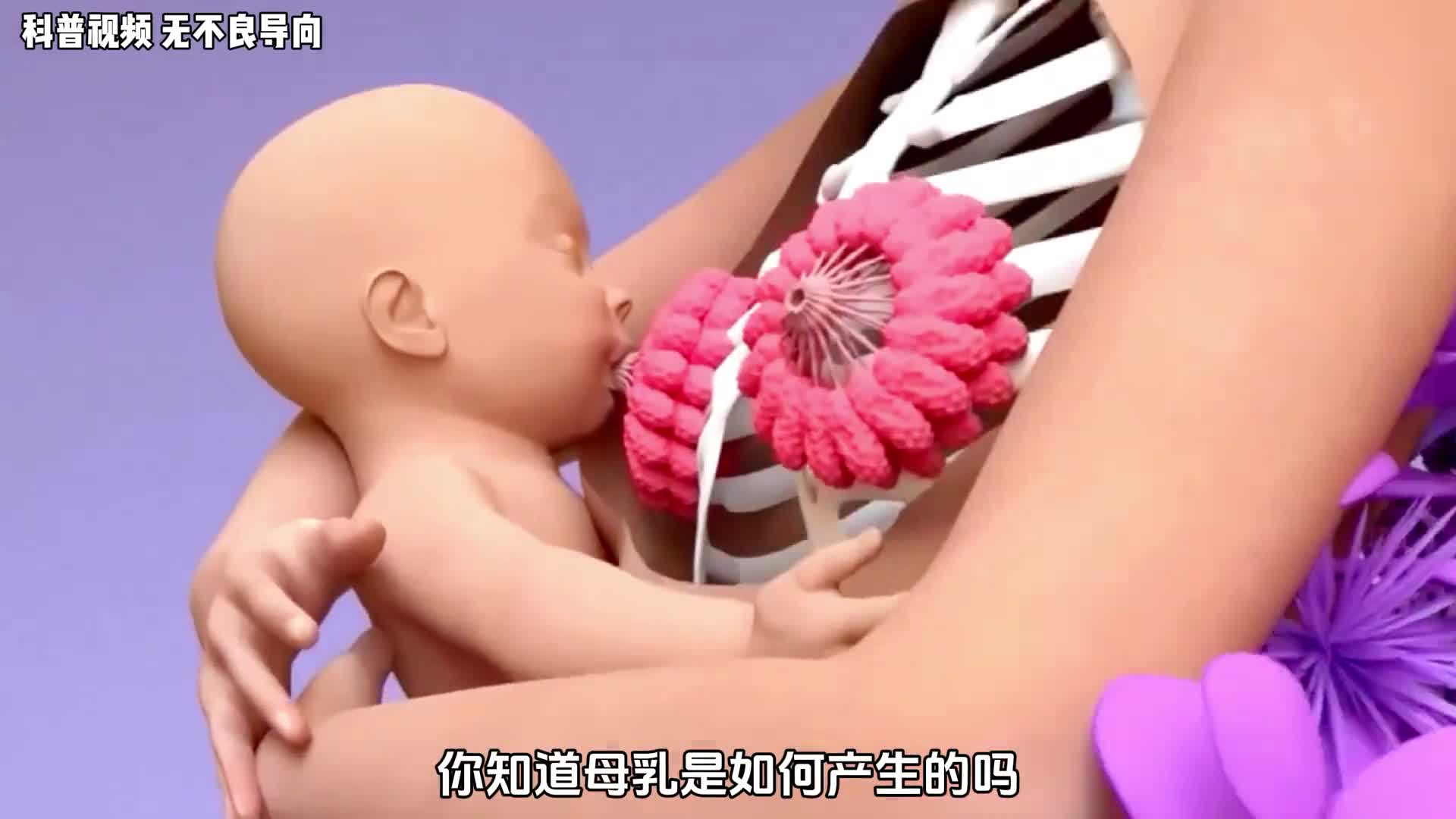 母乳到底是如何形成的为什么母乳的产生是女性身体伟大的奇迹