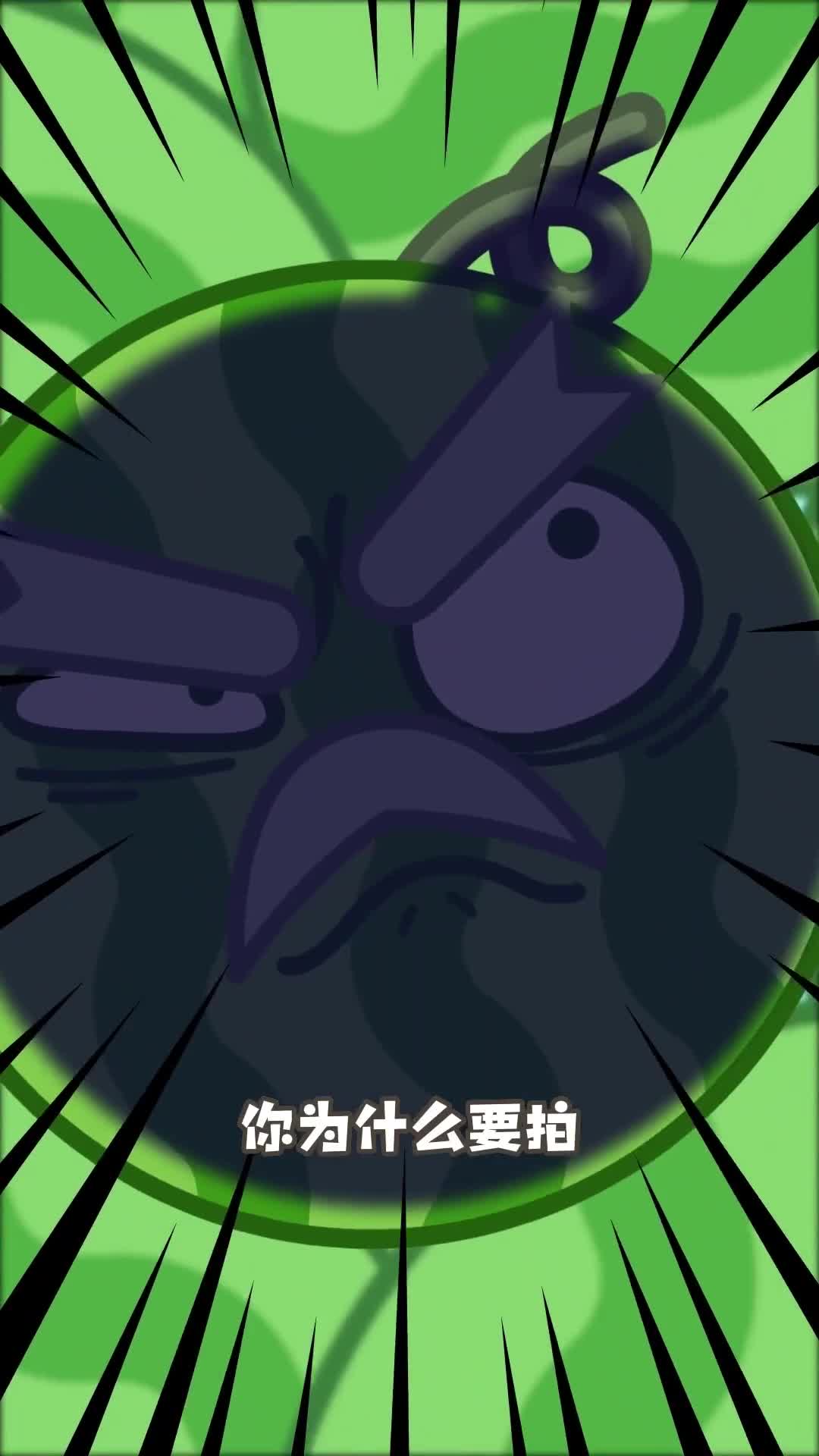 你知道挑西瓜为啥要拍拍拍吗