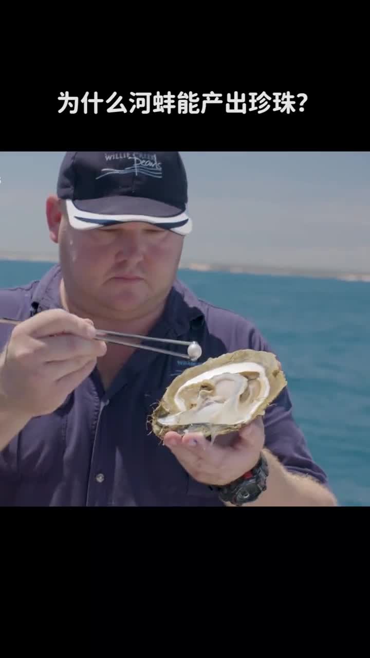 为什么河蚌能产出珍珠