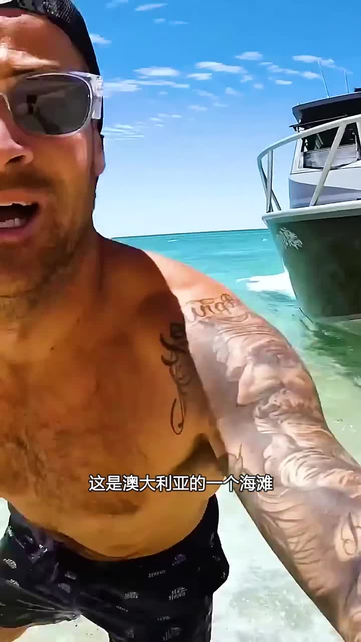 海龟搁浅的原因