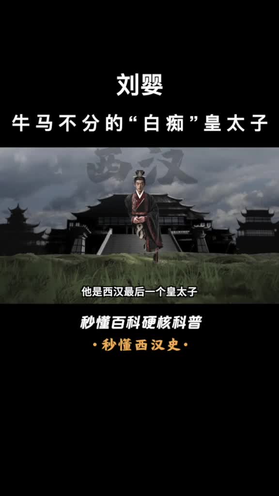 一口气看完刘婴牛马不分的白痴皇太子