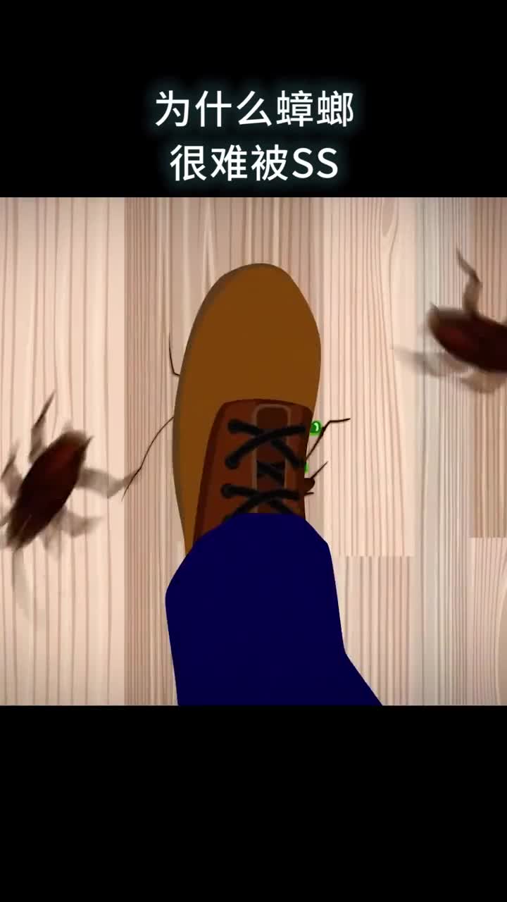 为什么蟑螂很难被SS