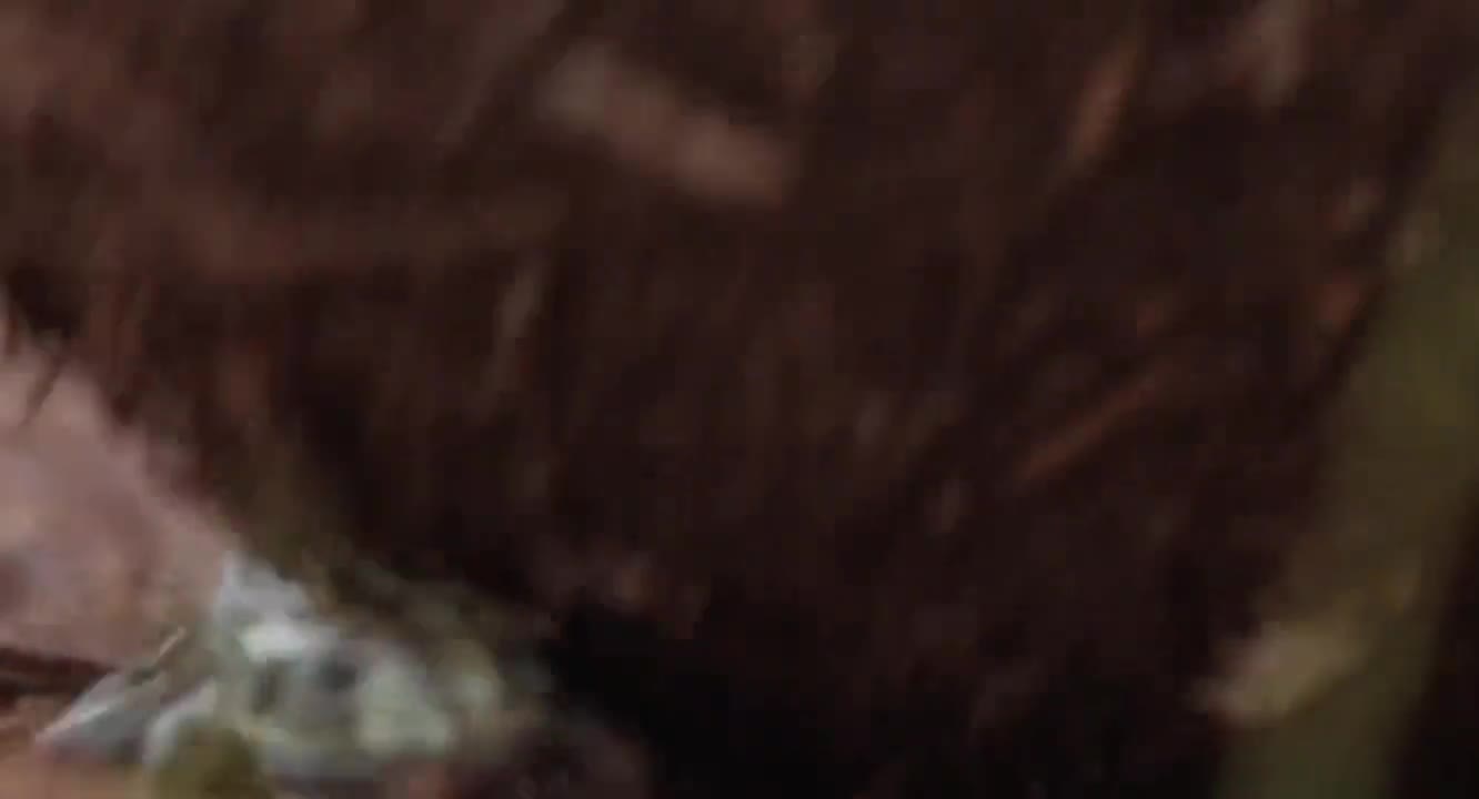 第108集丨大郎历险记