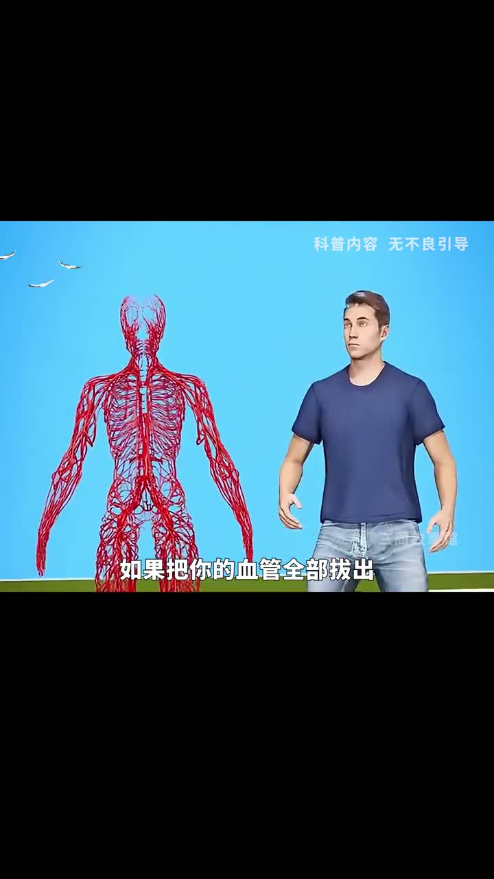 人的血管竟能围绕地球4圈