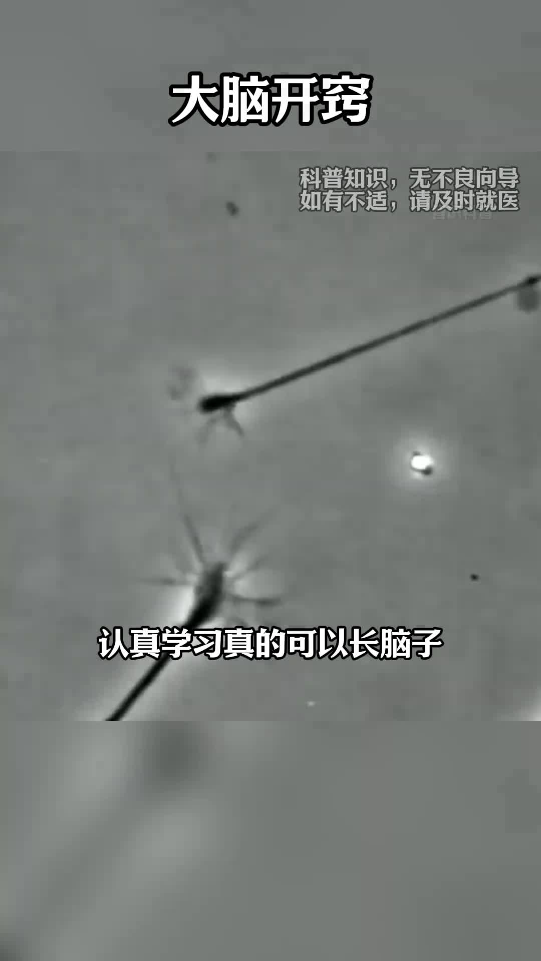 为什么脑子越用越聪明呢