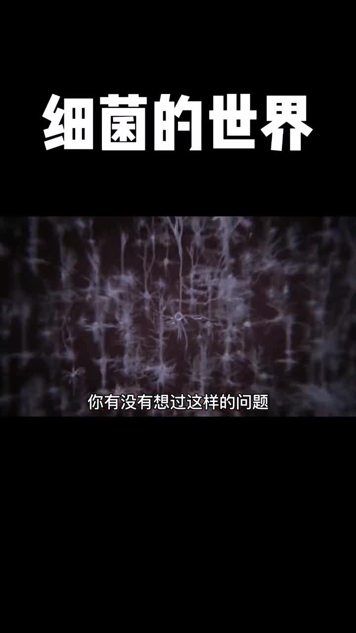 你对细菌有洁癖么你平时又是如何解决细菌问题的呢