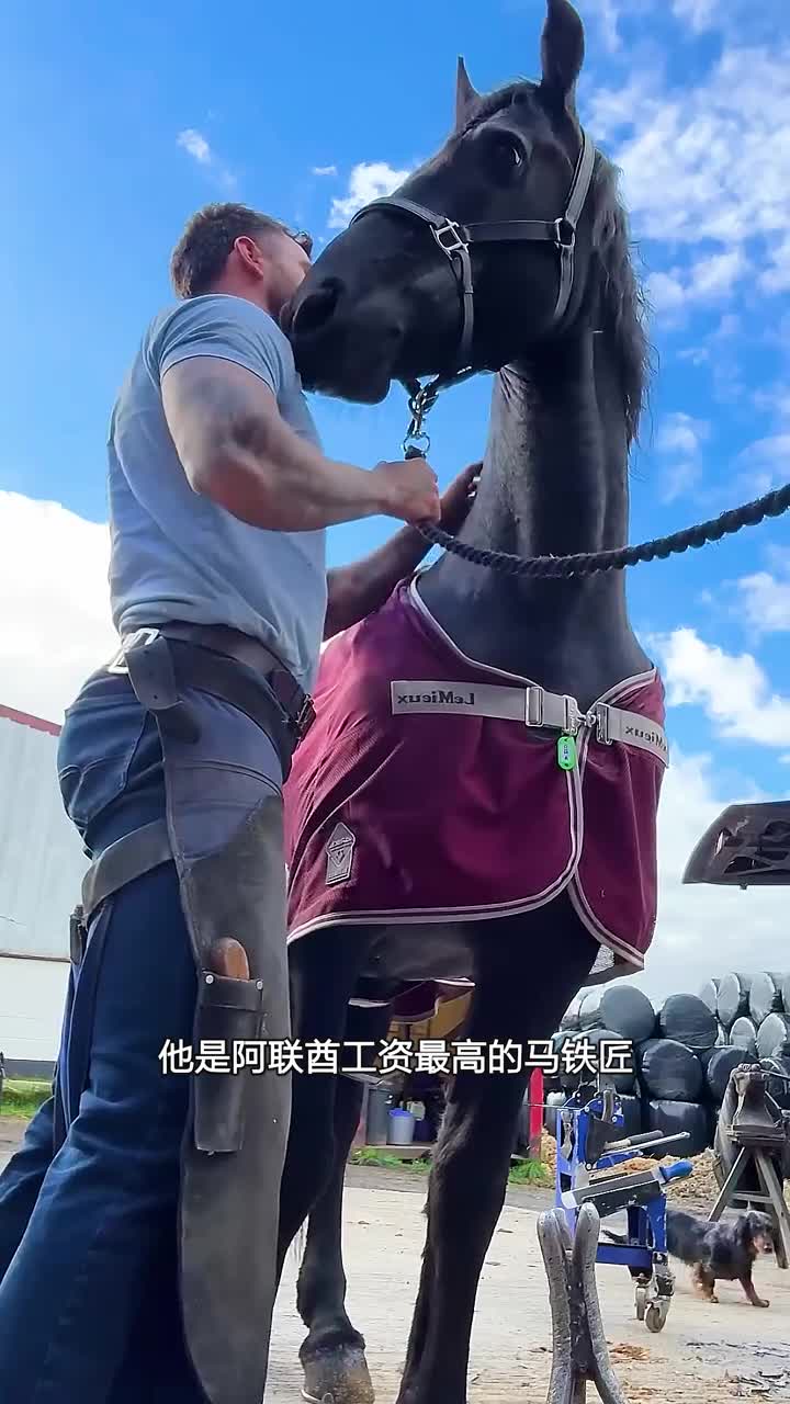 阿联酋工资最高的马铁匠