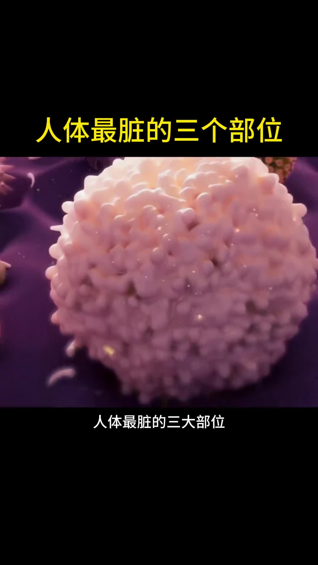 人体中最脏的三个部位是什么