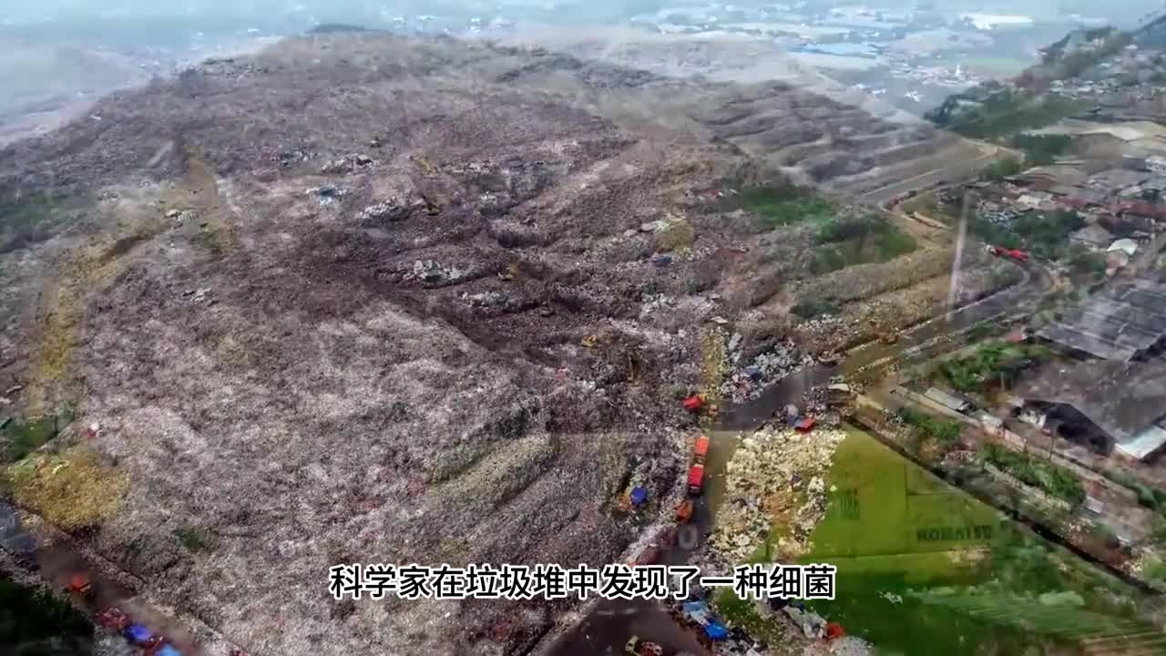 进化论的正确性毋庸置疑大自然短短五十年就进化出吃塑料的细菌基因突变和自然选择构成了现代进化论体系的核心其正确性早已得到广泛验证可以说是千锤百炼坚如磐石吃塑料微生物的发现无疑再次证明了达尔文进化论的正确和伟大