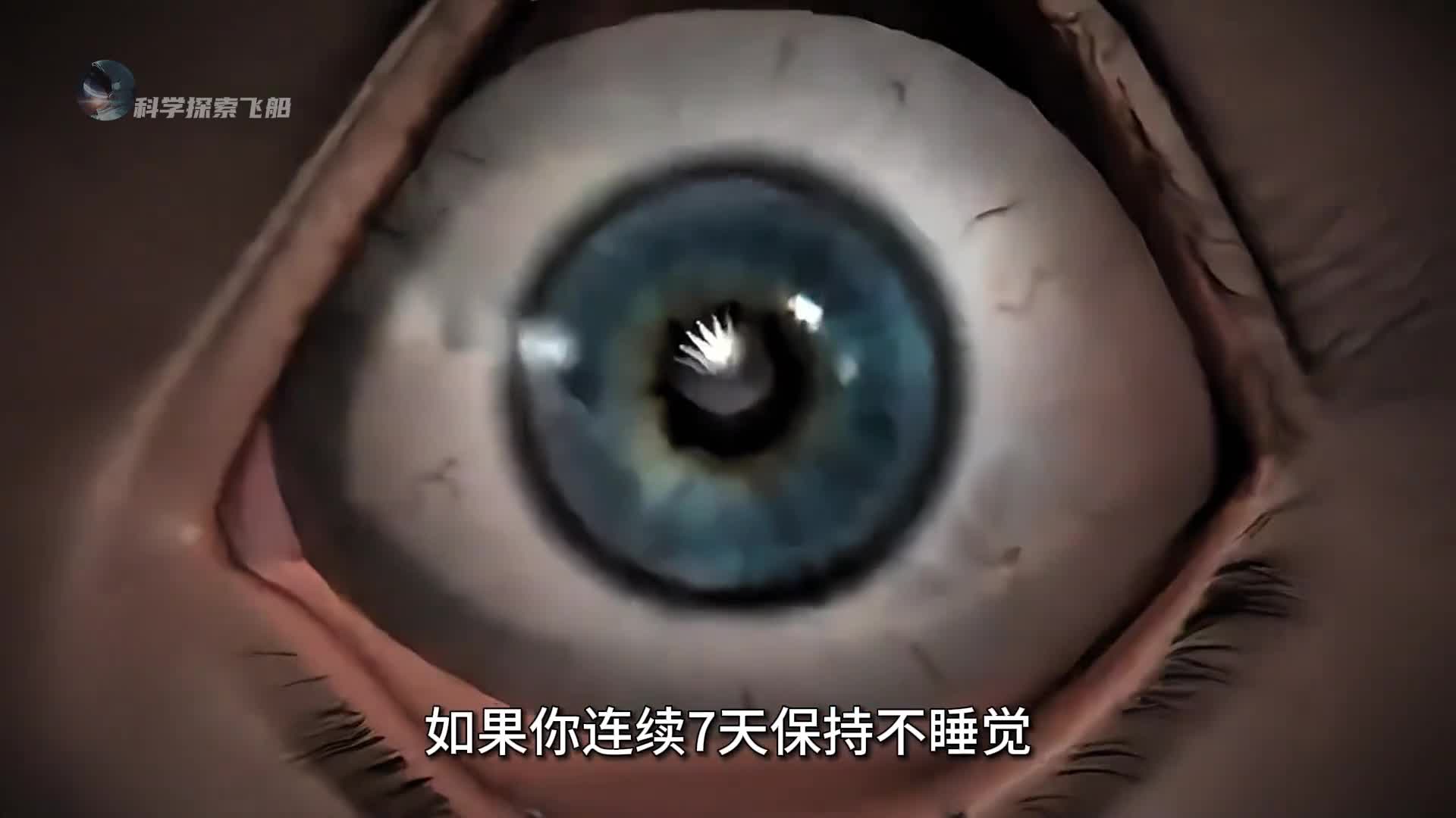 如果连续七天不睡觉会发生什么你绝对想象不到