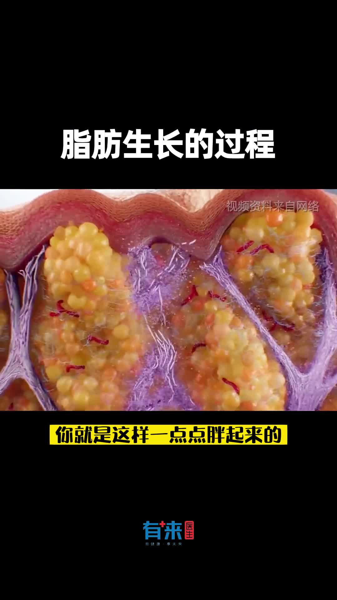 看完这个视频你能管住嘴巴吗