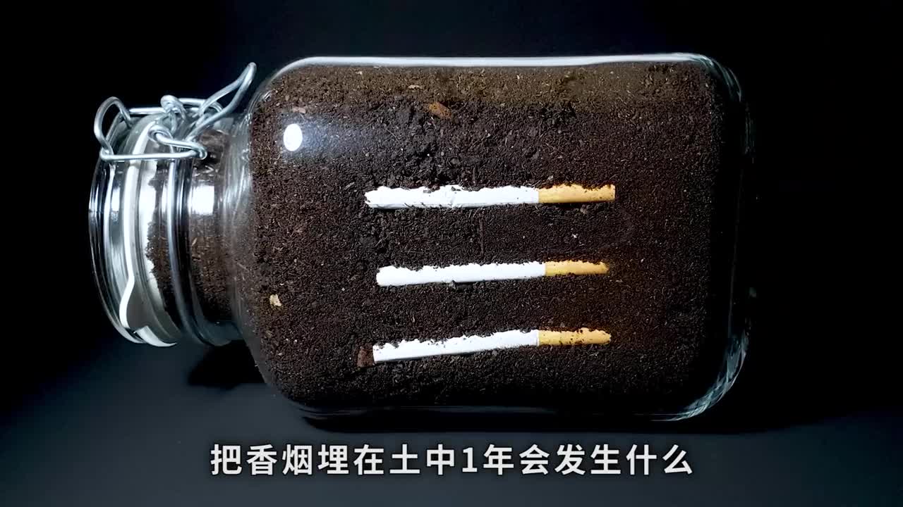 把香烟埋在土中1年会发生什么