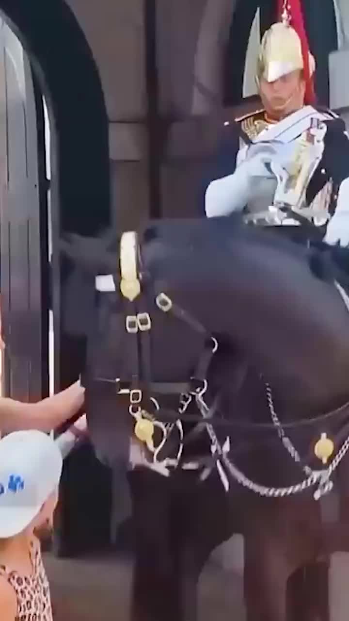 与卫兵合影的正确方法