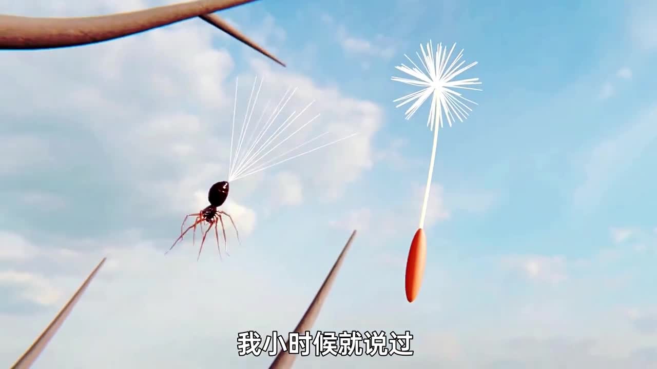 虽然没有翅膀但蜘蛛能靠地球电场飞航