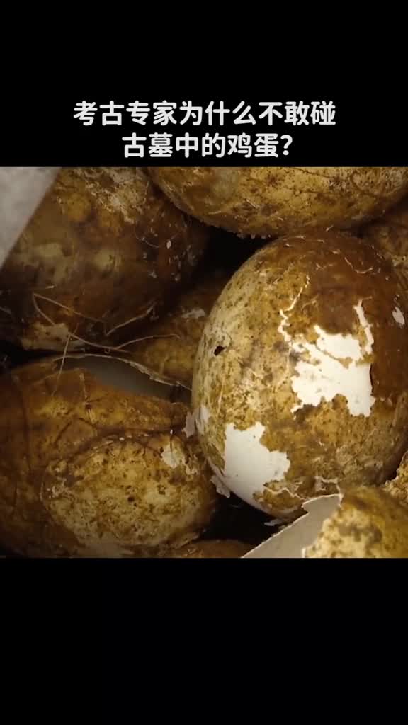 考古专家不敢碰古墓里的鸡蛋