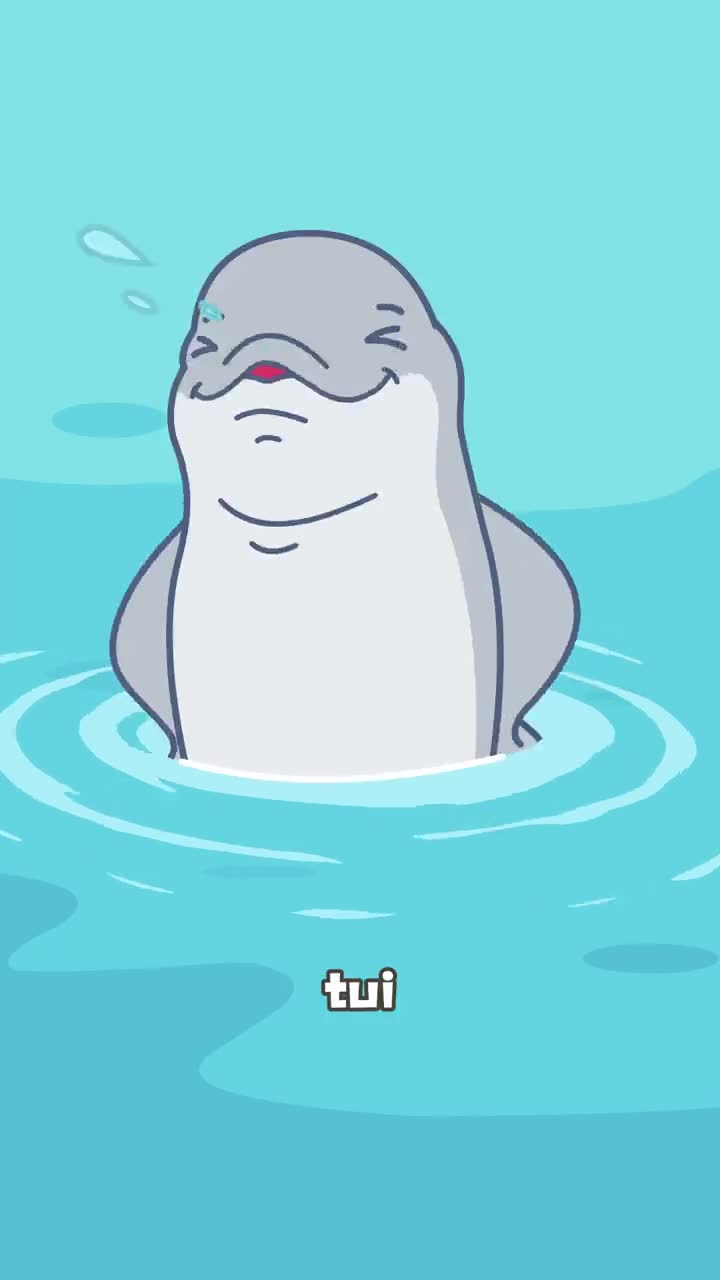 江豚有多稀有大熊猫碰它一下得坐三年牢东北虎旁观都得蹲两年