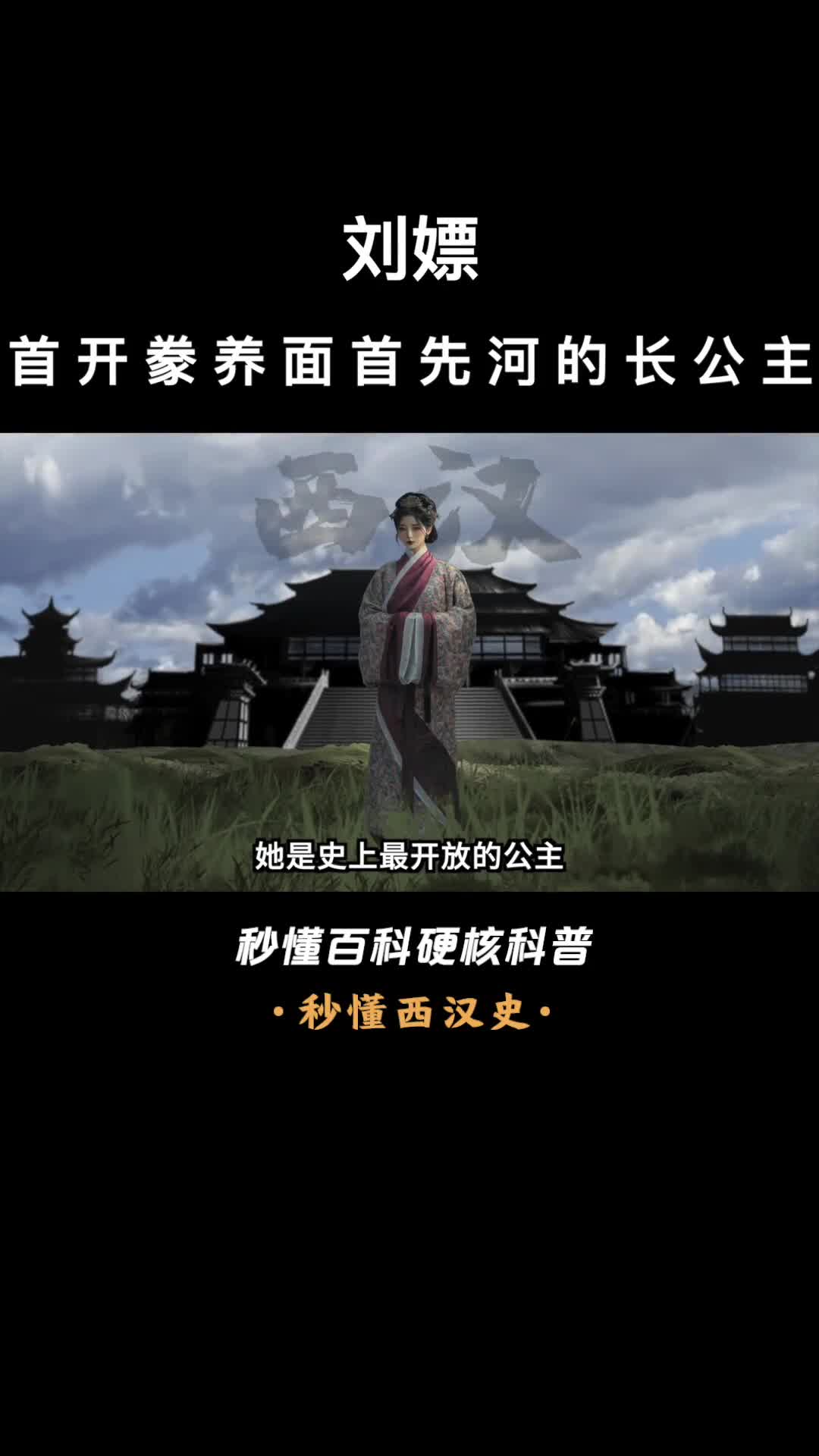 一口气看完刘嫖首开豢养面首先河的长公主