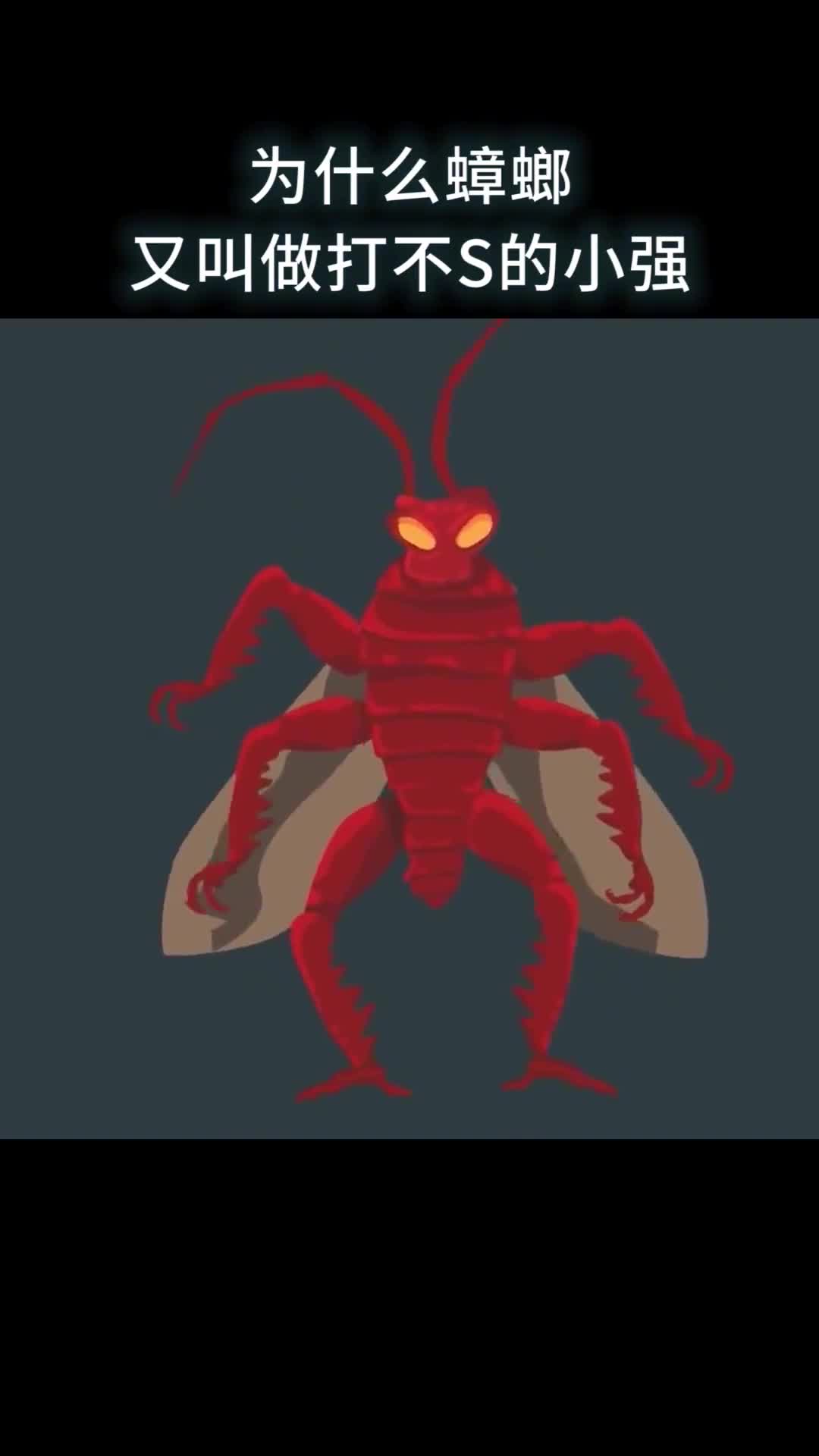 为什么蟑螂又叫做打不死的小强