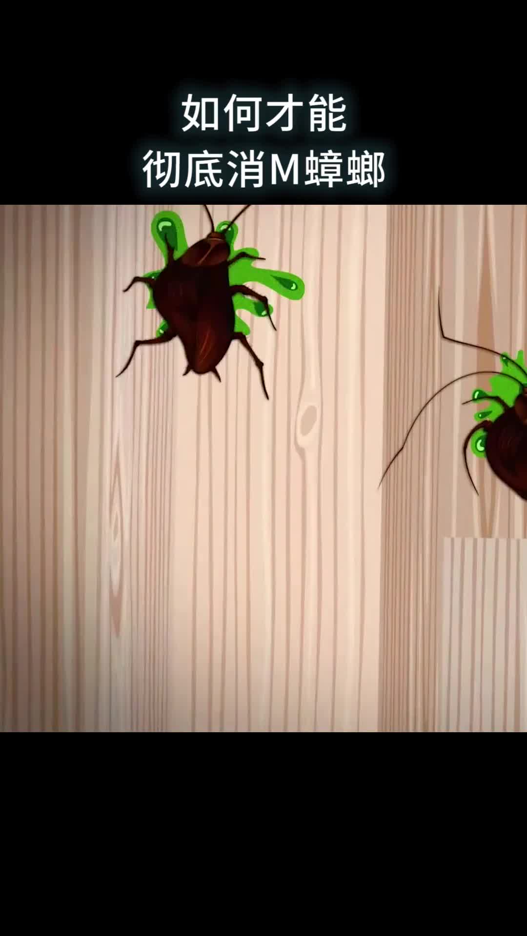 如何才能彻底消灭蟑螂