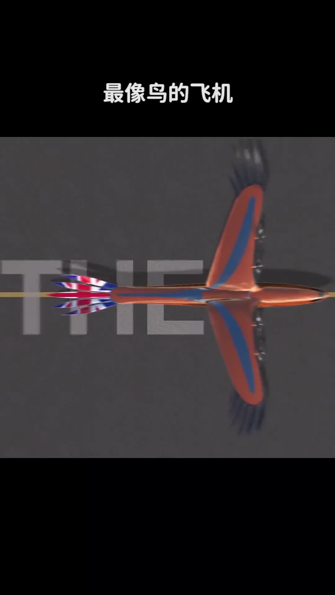 最像鸟的概念飞机