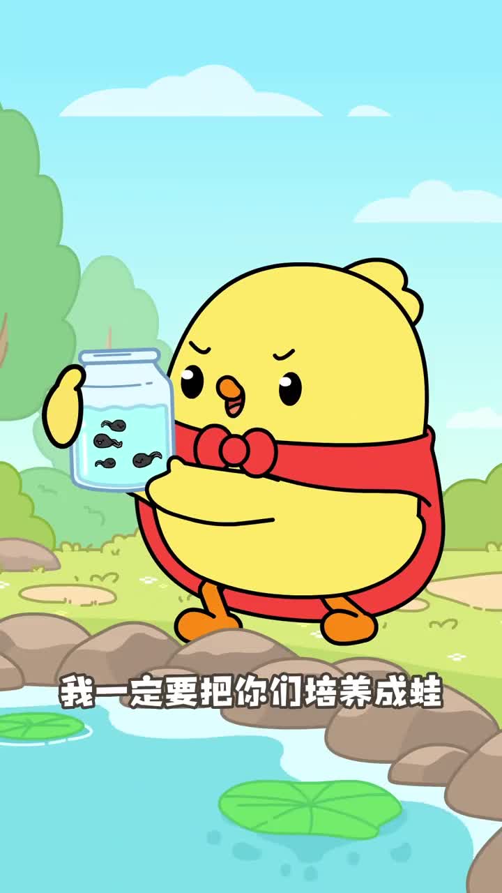 黑色蝌蚪竟然是蛤蟆小鸡叫叫