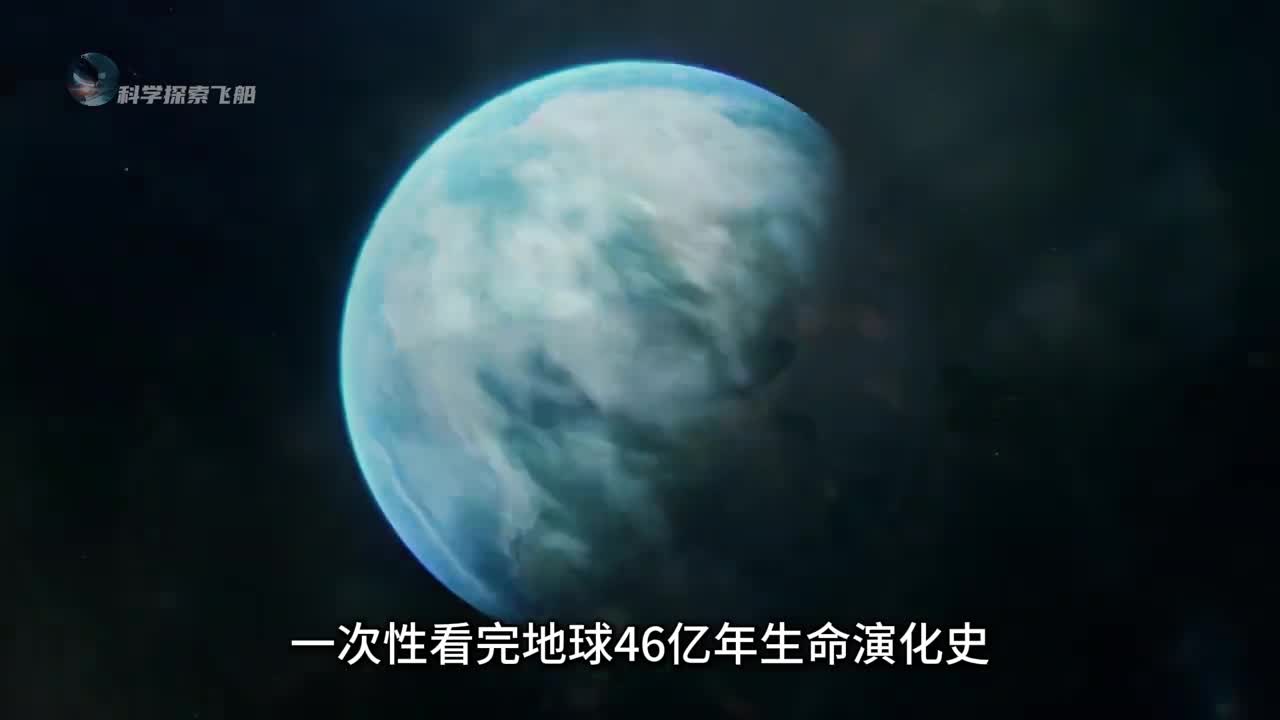 一次看完地球46亿年生命演化史献给每一位存在过的生灵