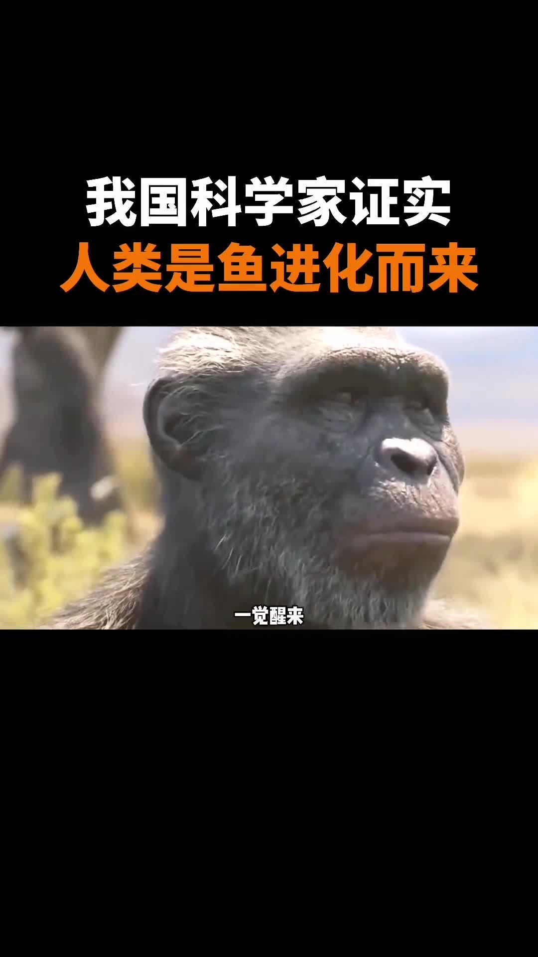 你敢相信嘛人类竟然是由鱼类进化而来