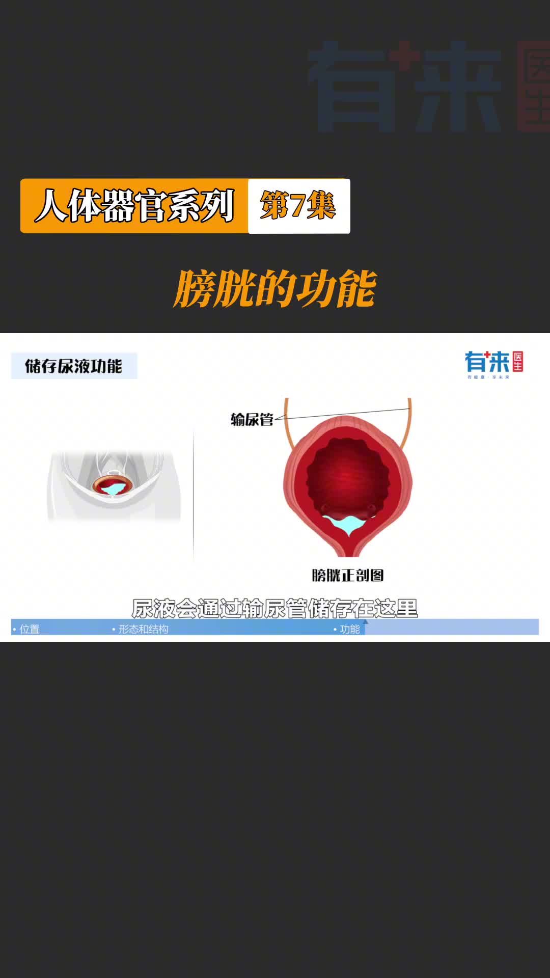 相信这个器官大家很熟悉