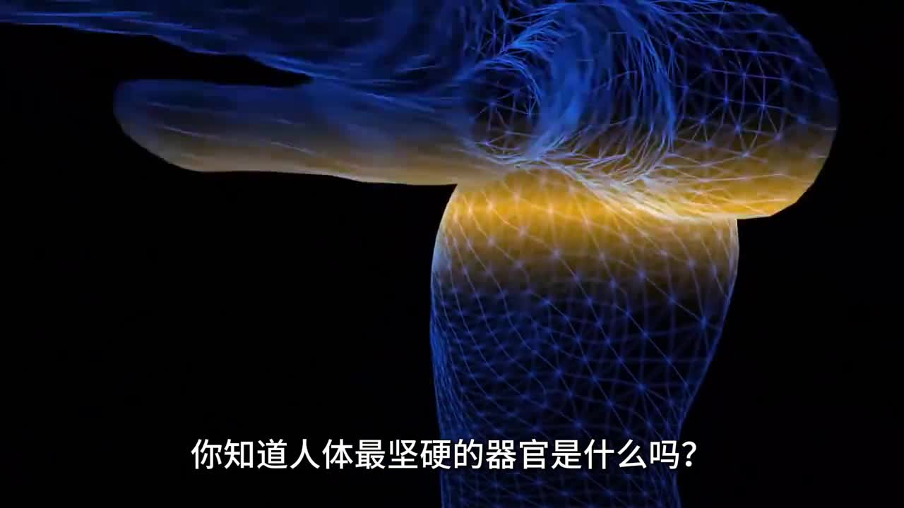 为什么人类的牙齿如此脆弱如何才能保护牙齿健康