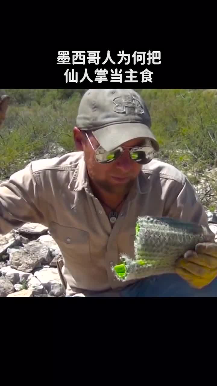 墨西哥人把仙人掌当美食不怕扎嘴吗