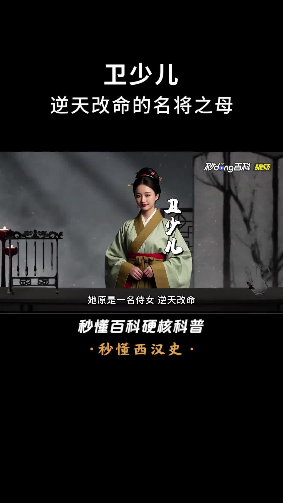 一口气看完卫少儿逆天改命的名将之母